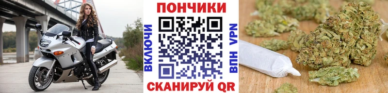 Магазины продажи наркотиков Киров Кокаин  Alpha-PVP  АМФЕТАМИН  MDMA  КЕТАМИН  ГАШИШ 