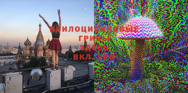 шишки Балахна
