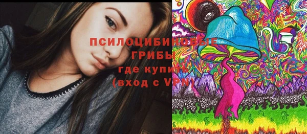 шишки Балахна