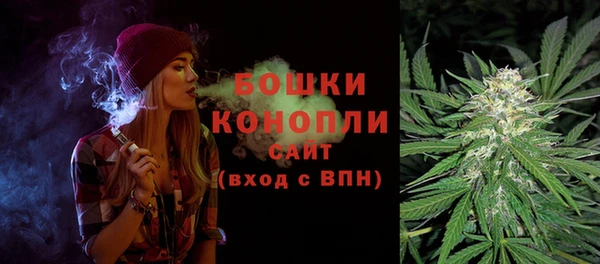 шишки Балахна